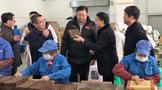 川茶集團產品與資訊全解析 價格、評測、新聞及合作渠道